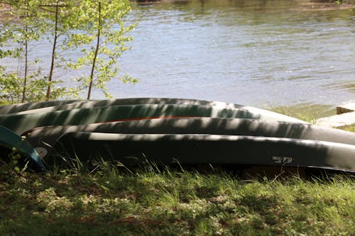 Kostnadsfri bild av kanot, paddling, vatten