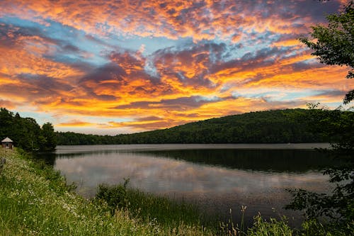 Summer Sunset