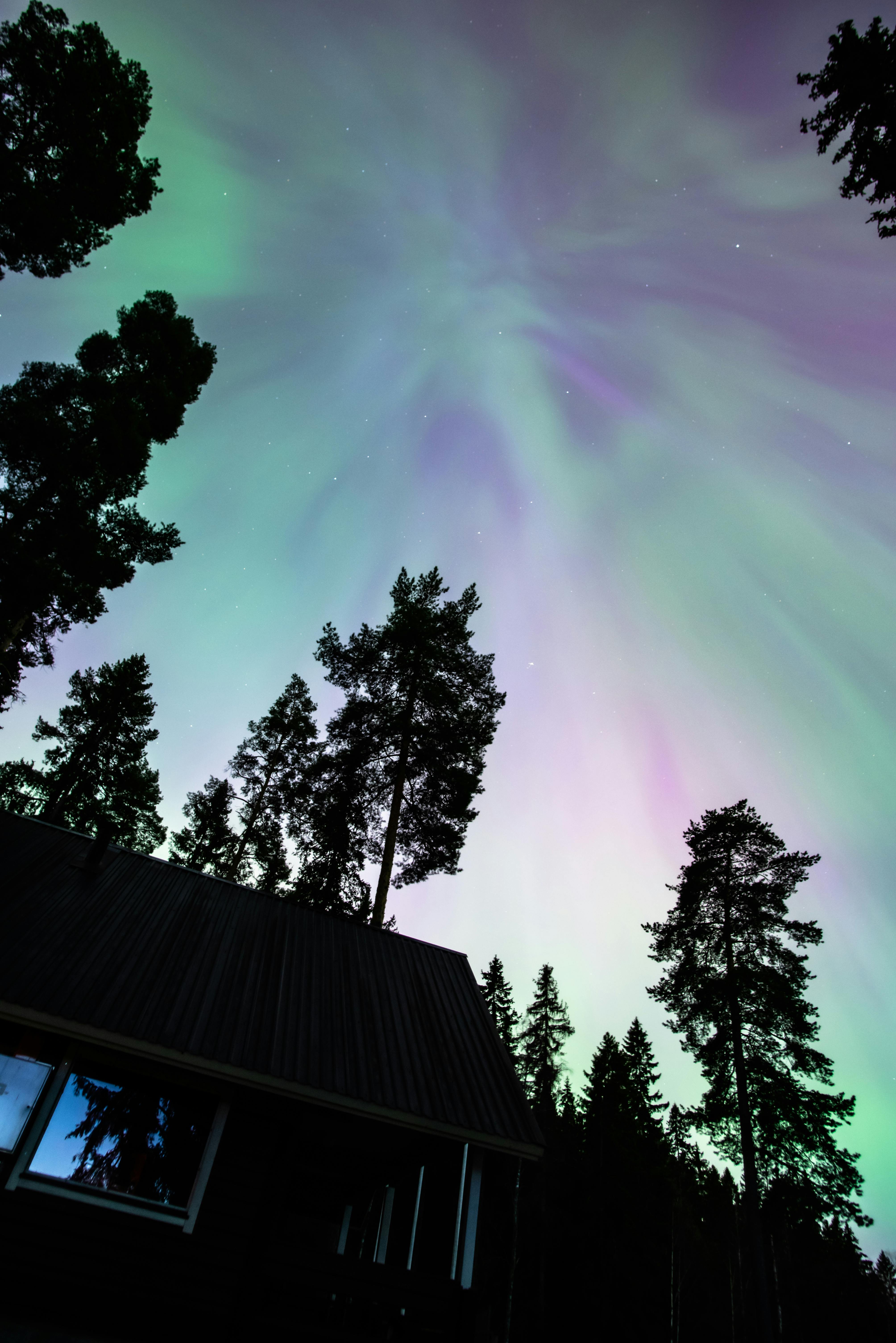 Stunning view of the Northern Lights illuminating a forest in Tampere, Finland.