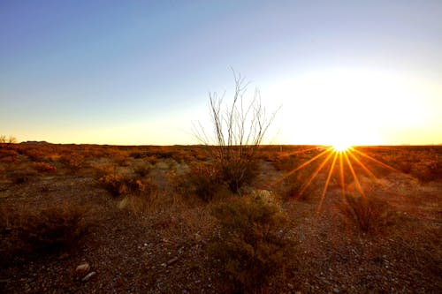 Kostnadsfri bild av landskap, soluppgång, västra texas