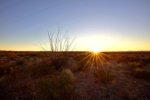 Kostnadsfri bild av landskap, soluppgång, västra texas