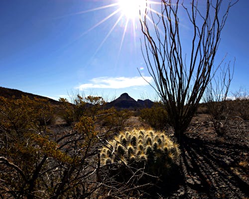 Kostnadsfri bild av landskap, soluppgång, västra texas