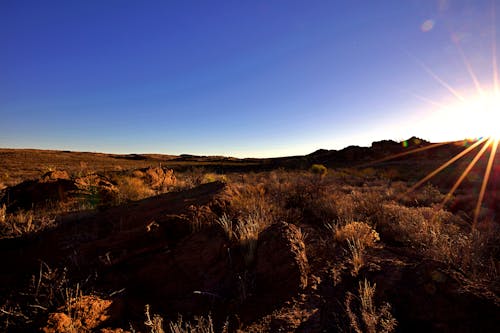 Kostnadsfri bild av landskap, soluppgång, västra texas