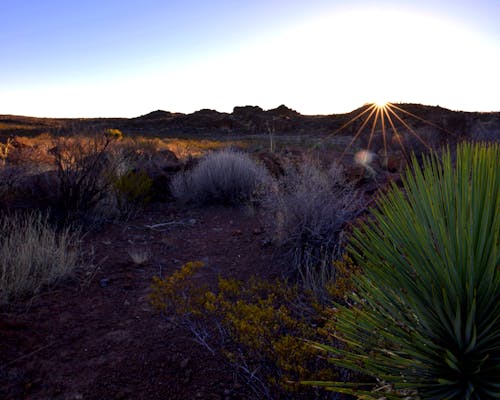 Kostnadsfri bild av landskap, soluppgång, västra texas