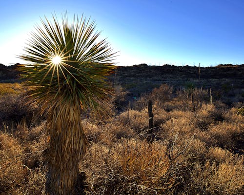 Kostnadsfri bild av landskap, soluppgång, västra texas