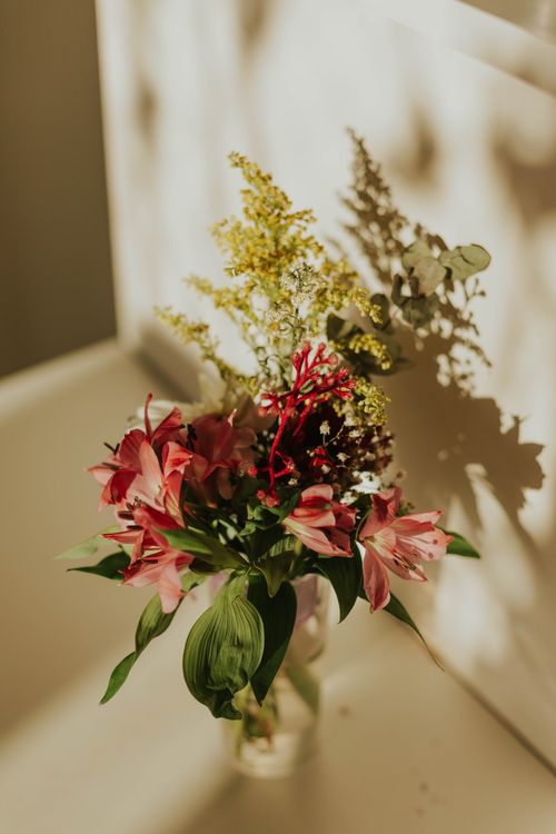 Free A vibrant bouquet of flowers casting shadows in a sunny room. Stock Photo