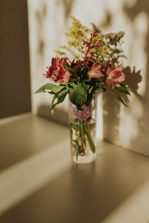 Free Beautiful bouquet of flowers in vase with shadows cast on wall, creating a serene atmosphere. Stock Photo