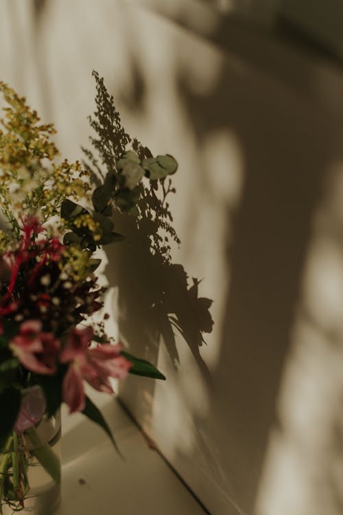 Foto stok gratis berbayang, bunga, cahaya