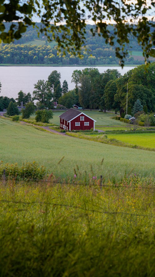 Δωρεάν στοκ φωτογραφιών με jönköping, αγρόκτημα, γεωργία