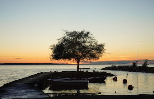 Foto d'estoc gratuïta de aigua, alba, amb silueta