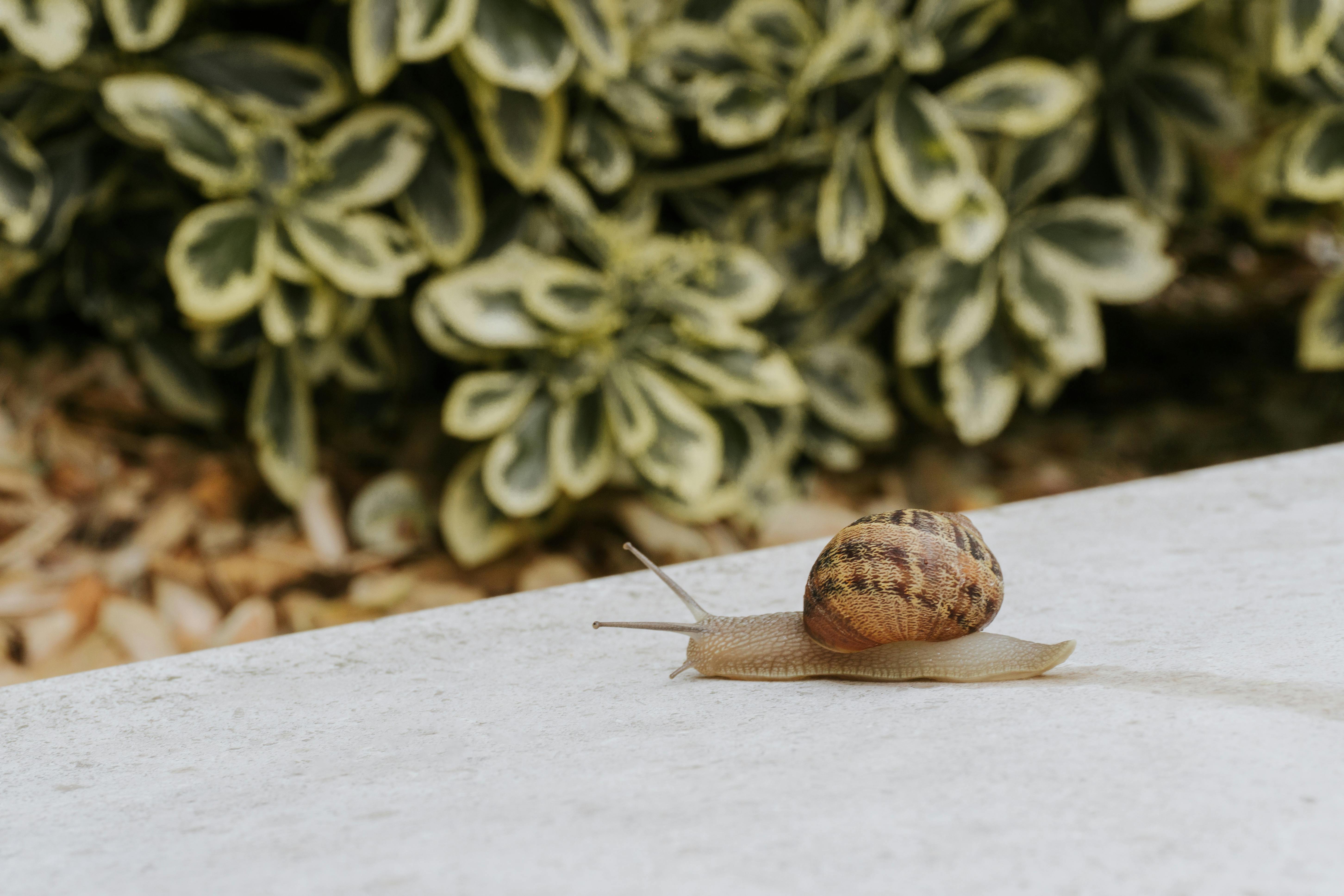 Gratuit Photos gratuites de automne, calme, chaussée Photos