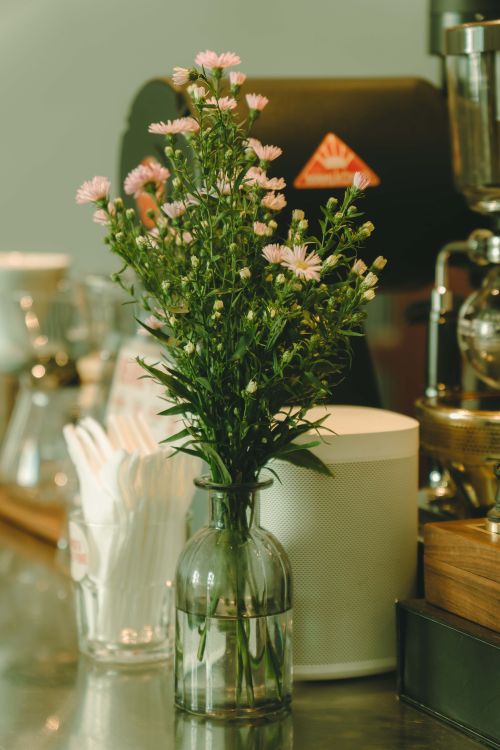 Free Delicate pink flowers in a glass vase add charm to a cozy cafe's interior. Stock Photo