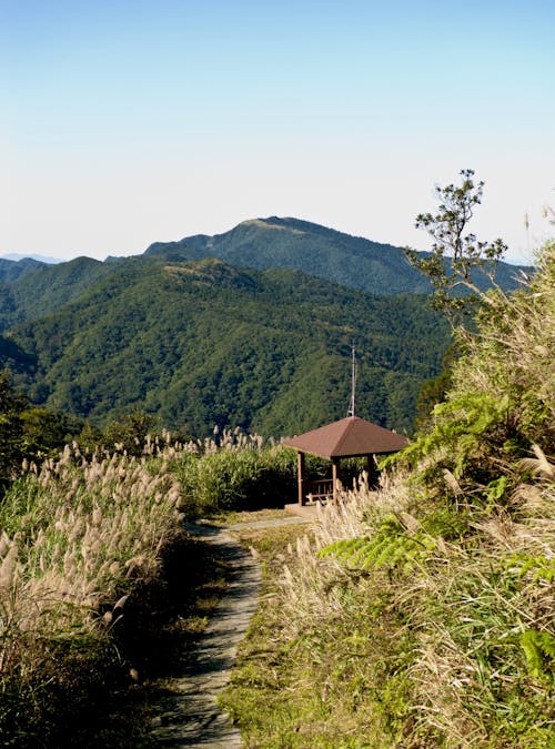 Fotos de stock gratuitas de monte jiangziliao, monte wufen, ruta de senderismo