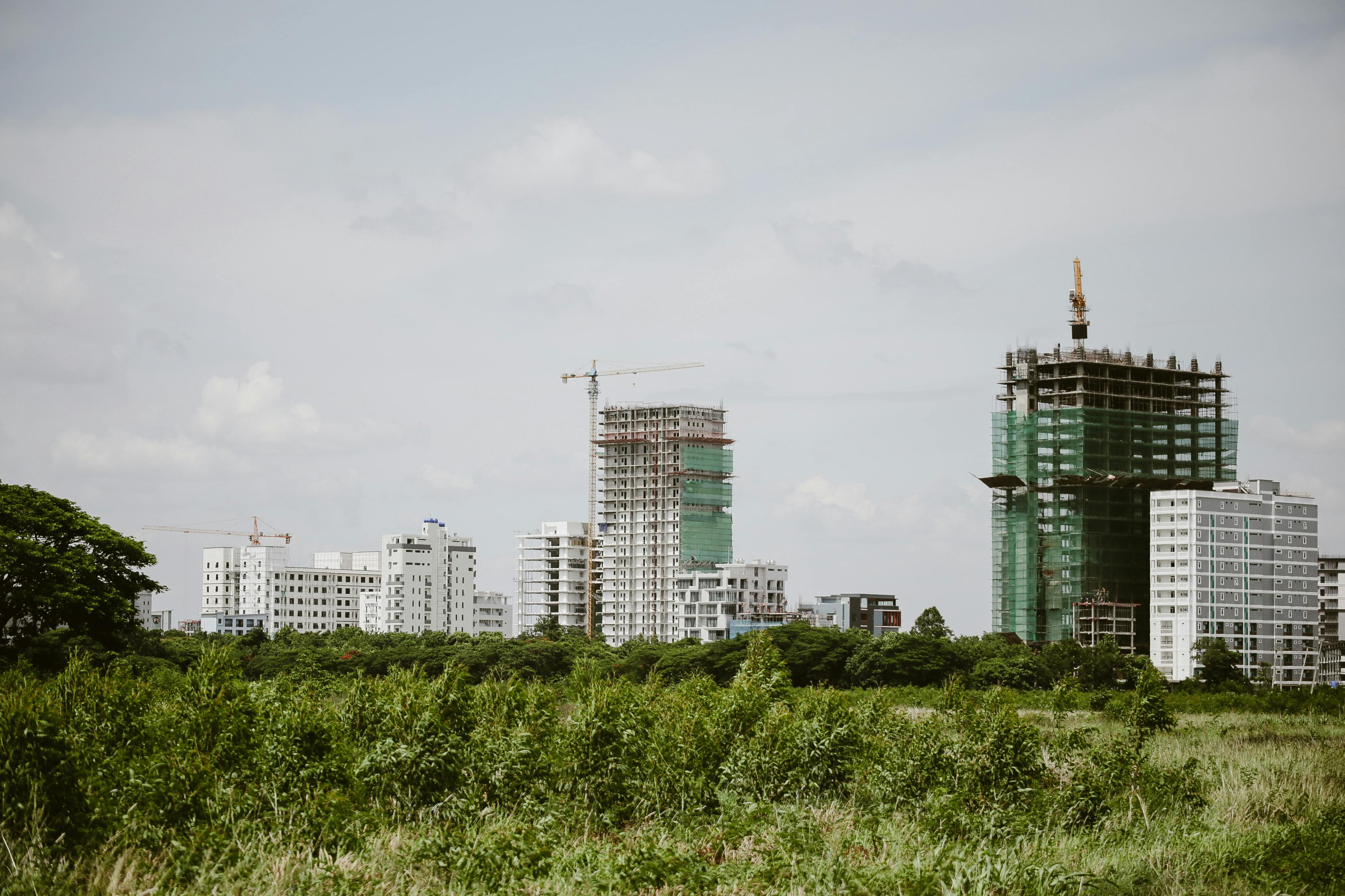 Психосоціальний розвиток: важливі етапи та завдання в різні вікові періоди.