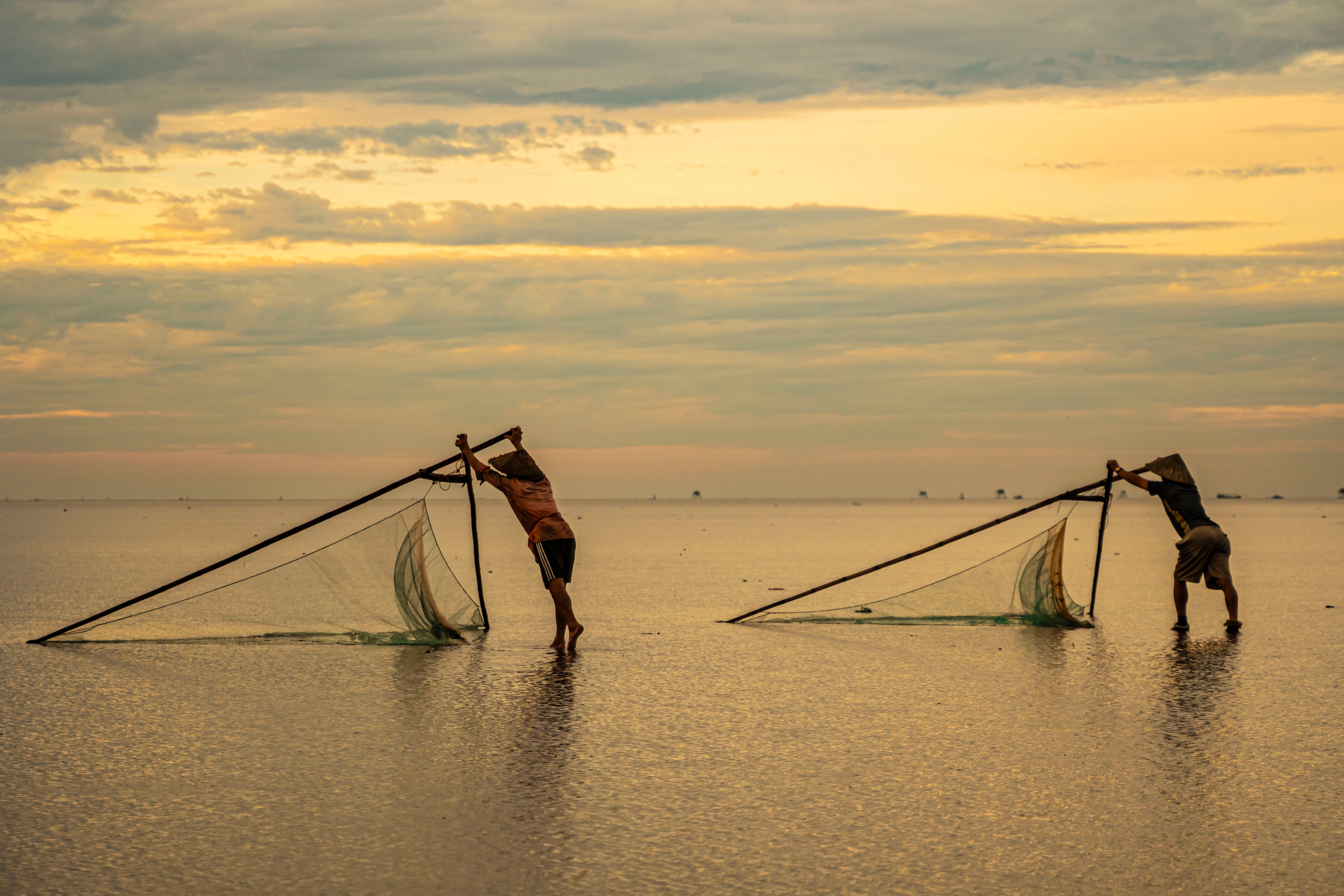 Wading Fishermen Using Lift Net · Free Stock Photo