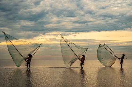 タイビン海, ビーチ, ベトナム写真ツアーの無料の写真素材