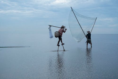 Gratis arkivbilde med dyrebare minner vietnam, eventyr, fisker