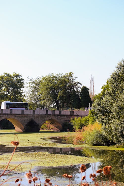 A bridge over a pond with a bus on it