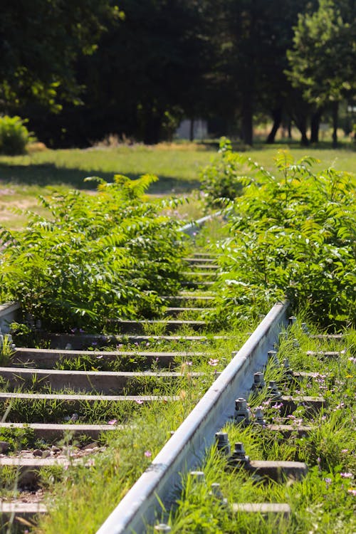 Free stock photo of train tracks