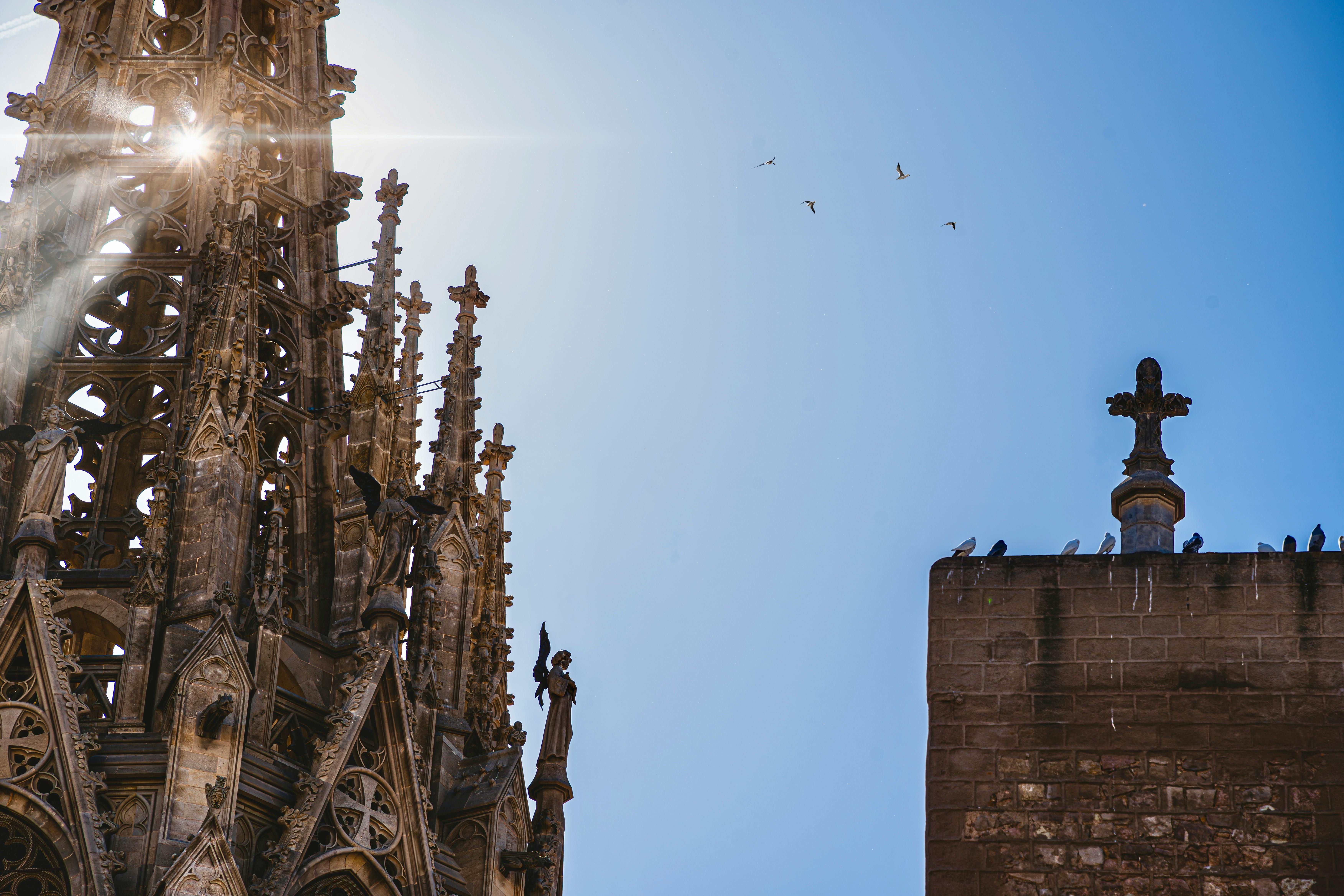 Pet-Friendly Restaurants and Cafes in Barcelona