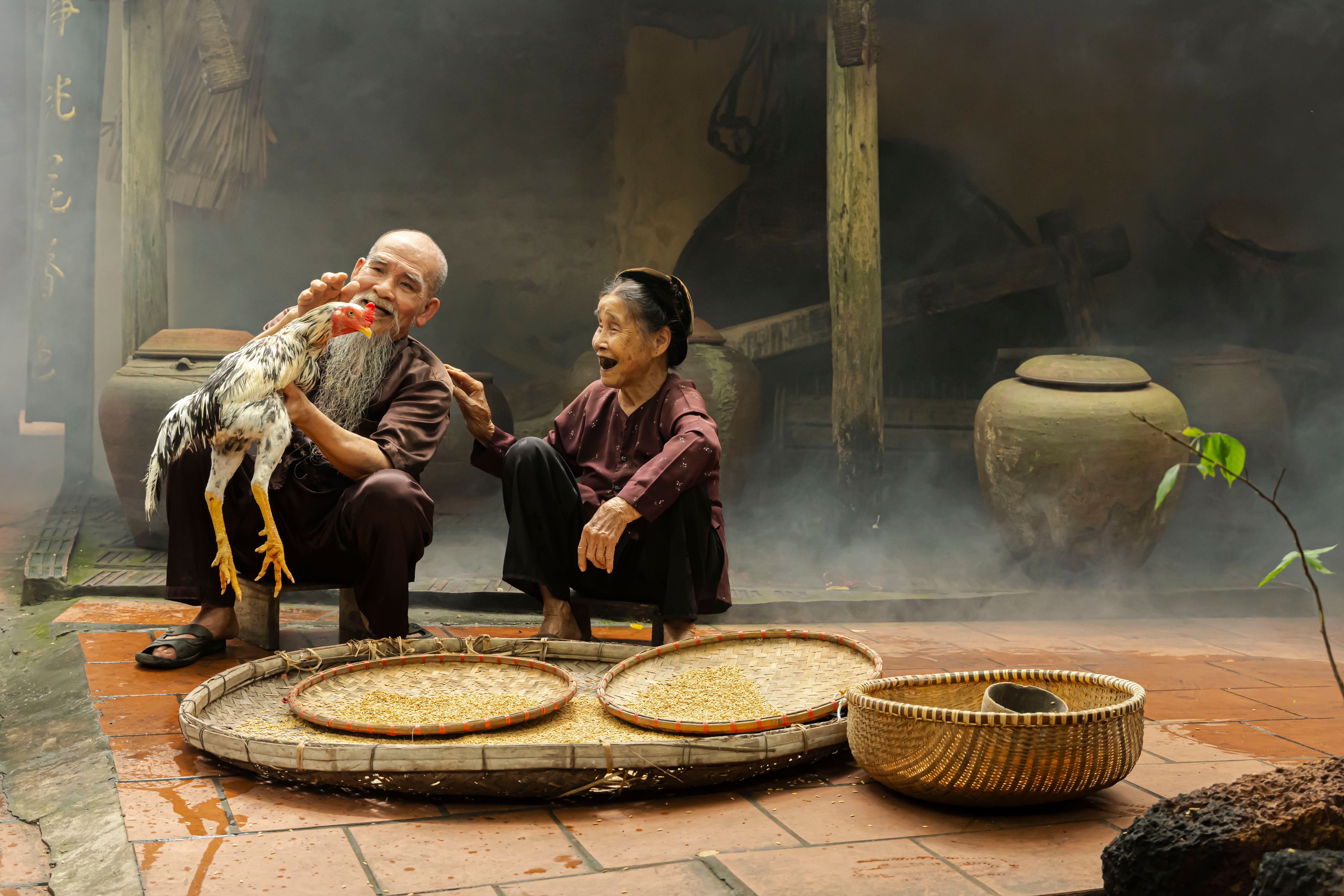 Elderly couple in Hanoi, Vietnam, with a rooster and wicker trays, enjoying a peaceful rural moment.