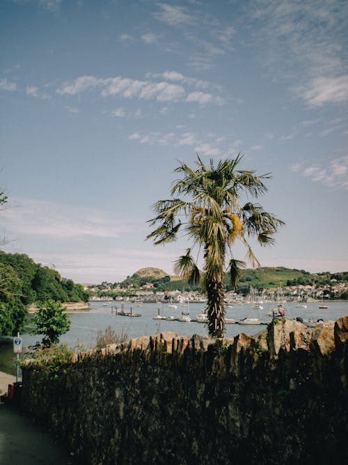 Foto d'estoc gratuïta de badia, barques, cel blau