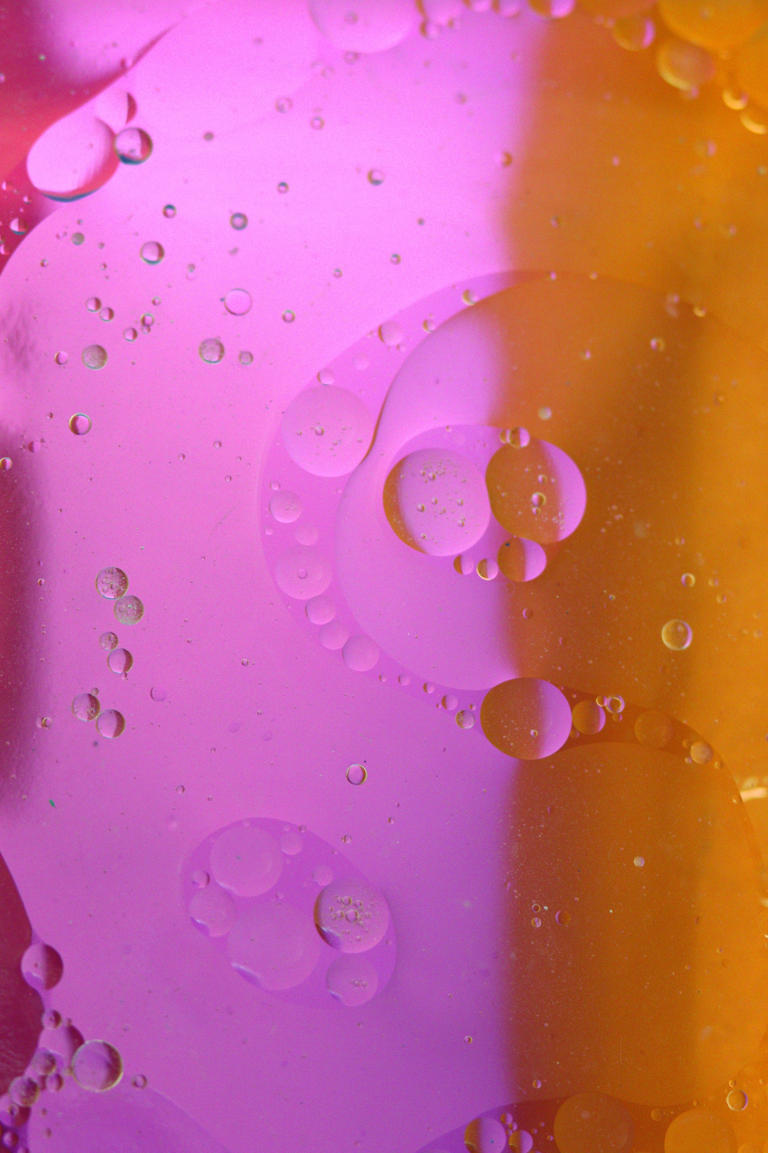 Free Close-up of vibrant pink and orange oil bubbles floating on water, creating an abstract pattern. Stock Photo