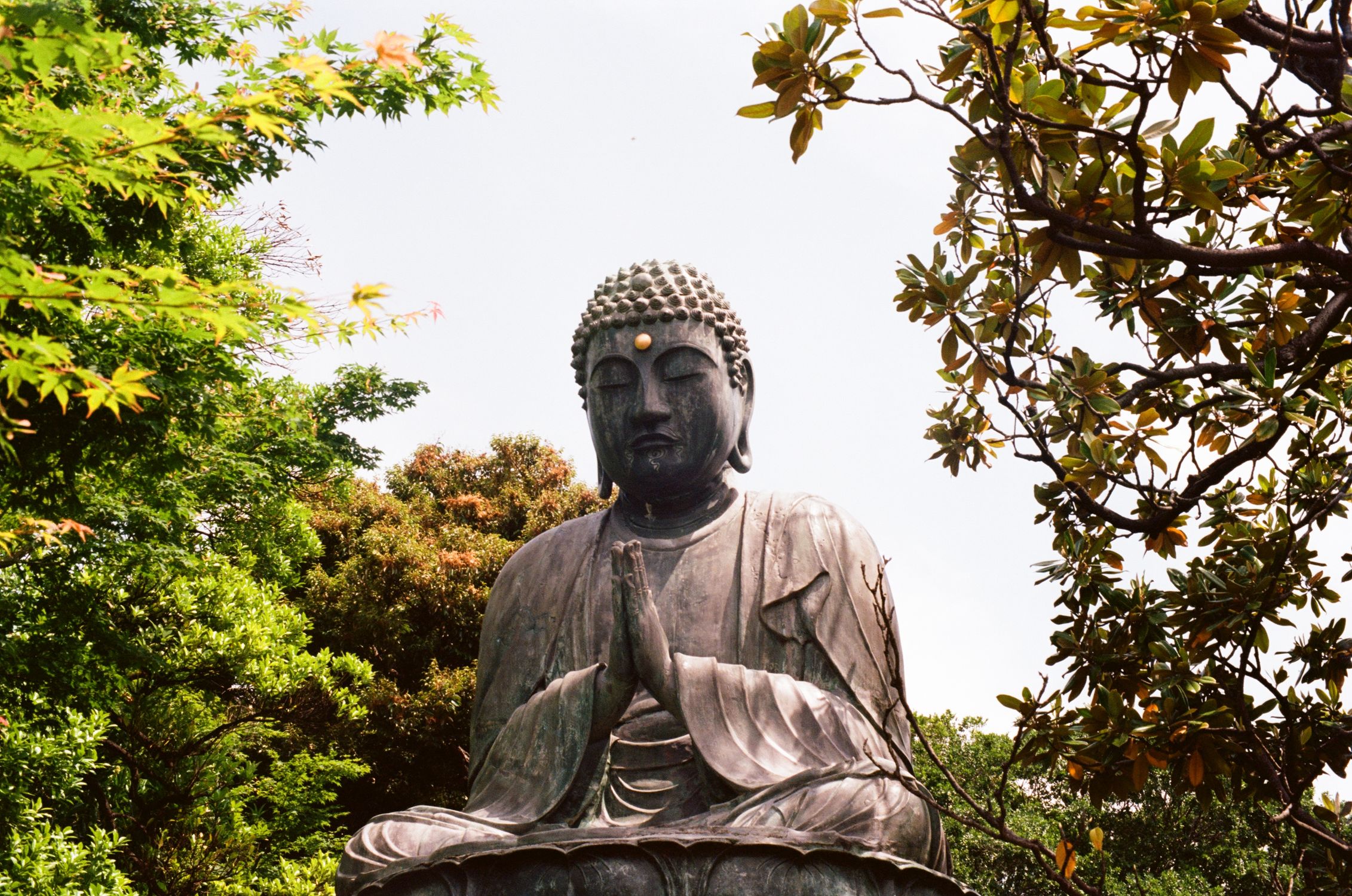 A Statue of Buddha · Free Stock Photo