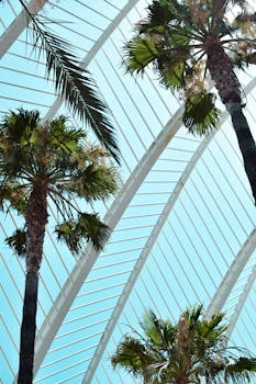 Modern architecture with palm trees in Valencia's greenhouse exhibits urban nature.