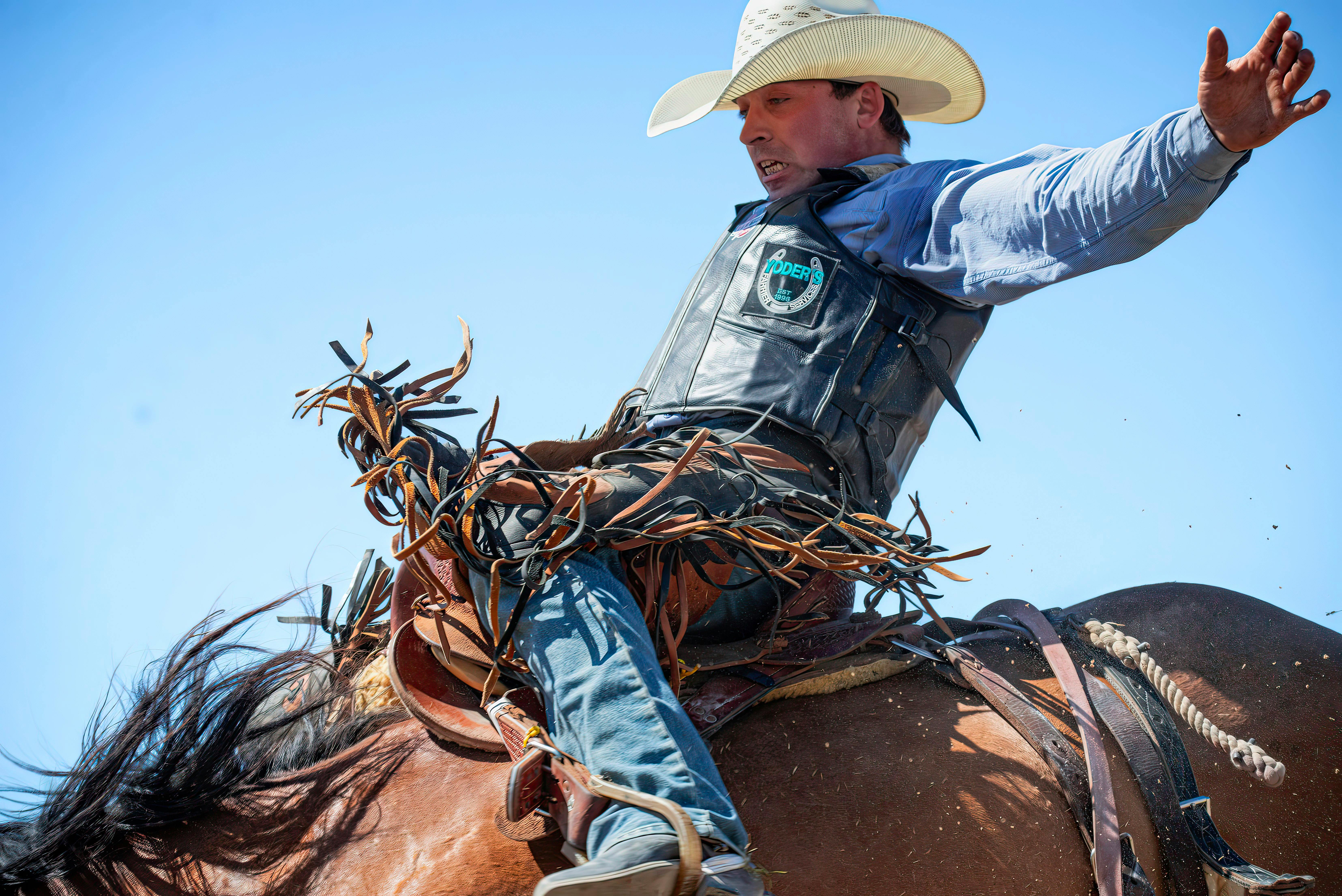 cowboy trying to stay on the back of a bronco horse