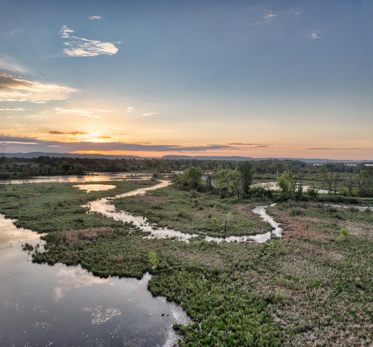 Swamp And Winding River 