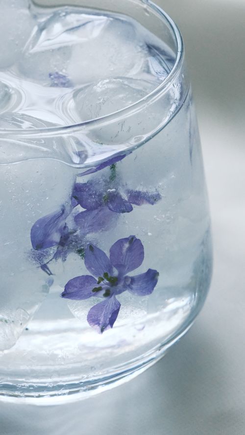 Free Close-up of a refreshing cold drink with ice and purple flowers in a glass. Stock Photo