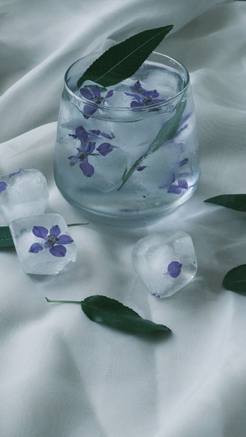 Free Aesthetic floral ice cubes and leaves in a glass of water, creating a refreshing drink setting. Stock Photo