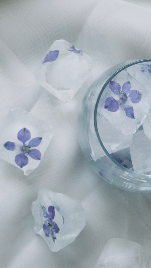 Free Elegant ice cubes with purple flowers in a glass, perfect for aesthetic presentations. Stock Photo