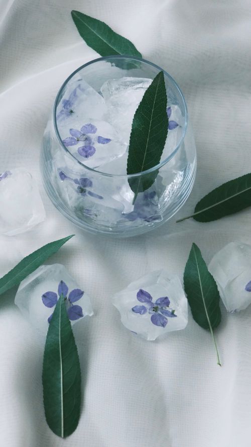 Free Glass with ice cubes encasing purple flowers and green leaves on textured fabric. Stock Photo