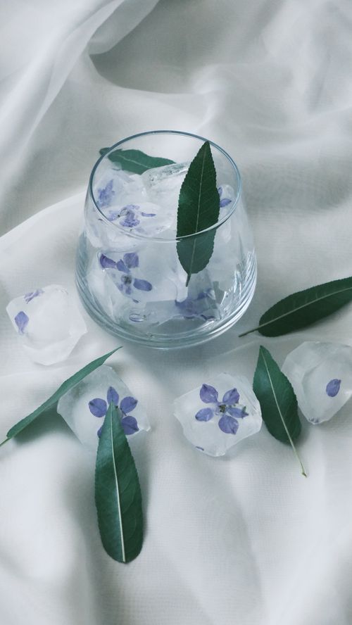 Free Delicate flowers and leaves frozen in ice within a glass create a refreshing artistic look. Stock Photo