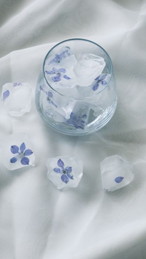 Free Artistic display of ice cubes with delicate purple flowers in a glass over white fabric. Stock Photo