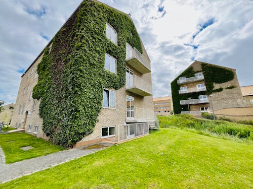 건물, 녹색 건물, 덴마크의 무료 스톡 사진