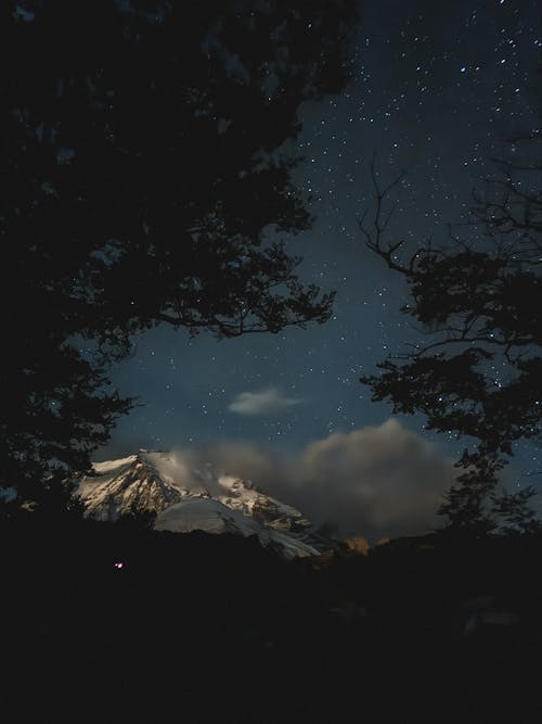 Fotos de stock gratuitas de al aire libre, amanecer, árbol