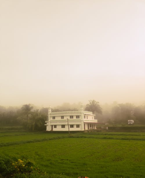 Fotos de stock gratuitas de amanecer temprano, cielo matutino, con niebla