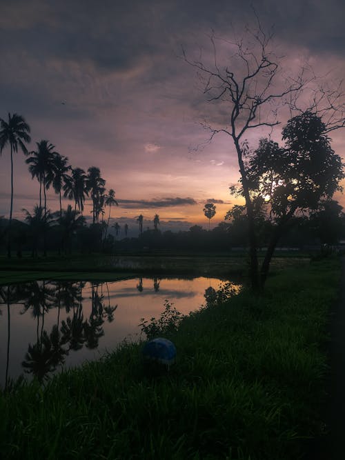 Fotos de stock gratuitas de amanecer temprano, amante de la naturaleza, cielo matutino
