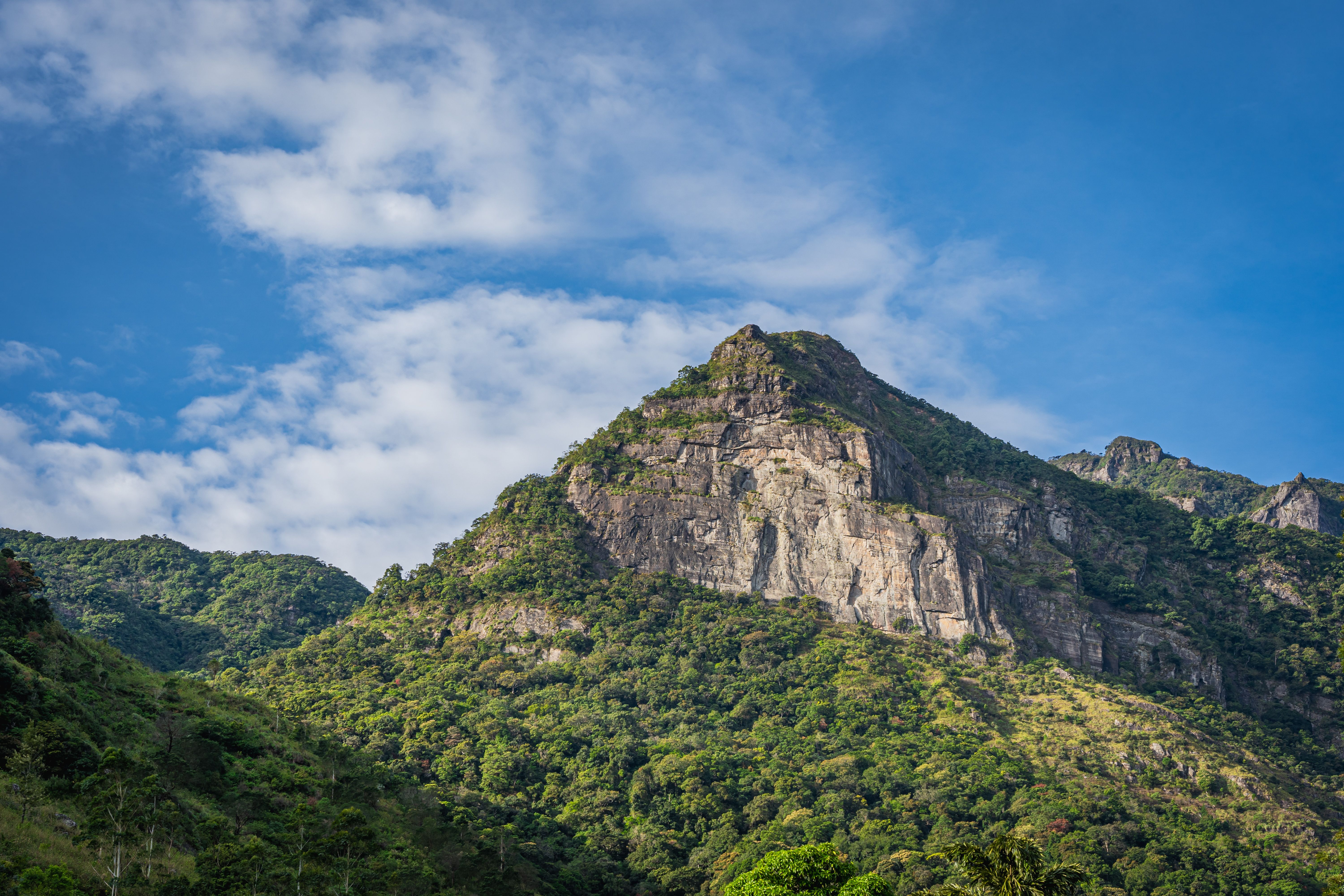7 Day Creative Art, Dance and Yoga Retreat in Sri Lanka 3