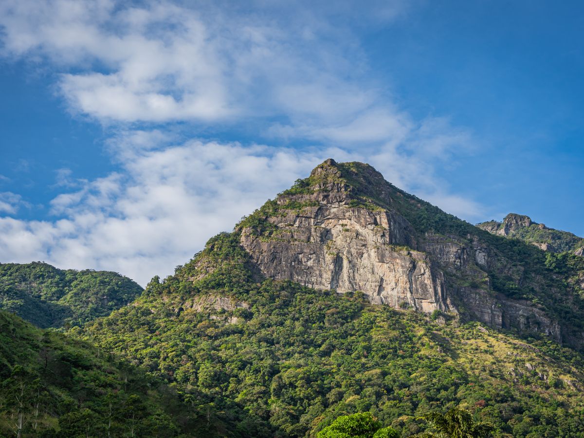 7 Day Creative Art, Dance and Yoga Retreat in Sri Lanka 3