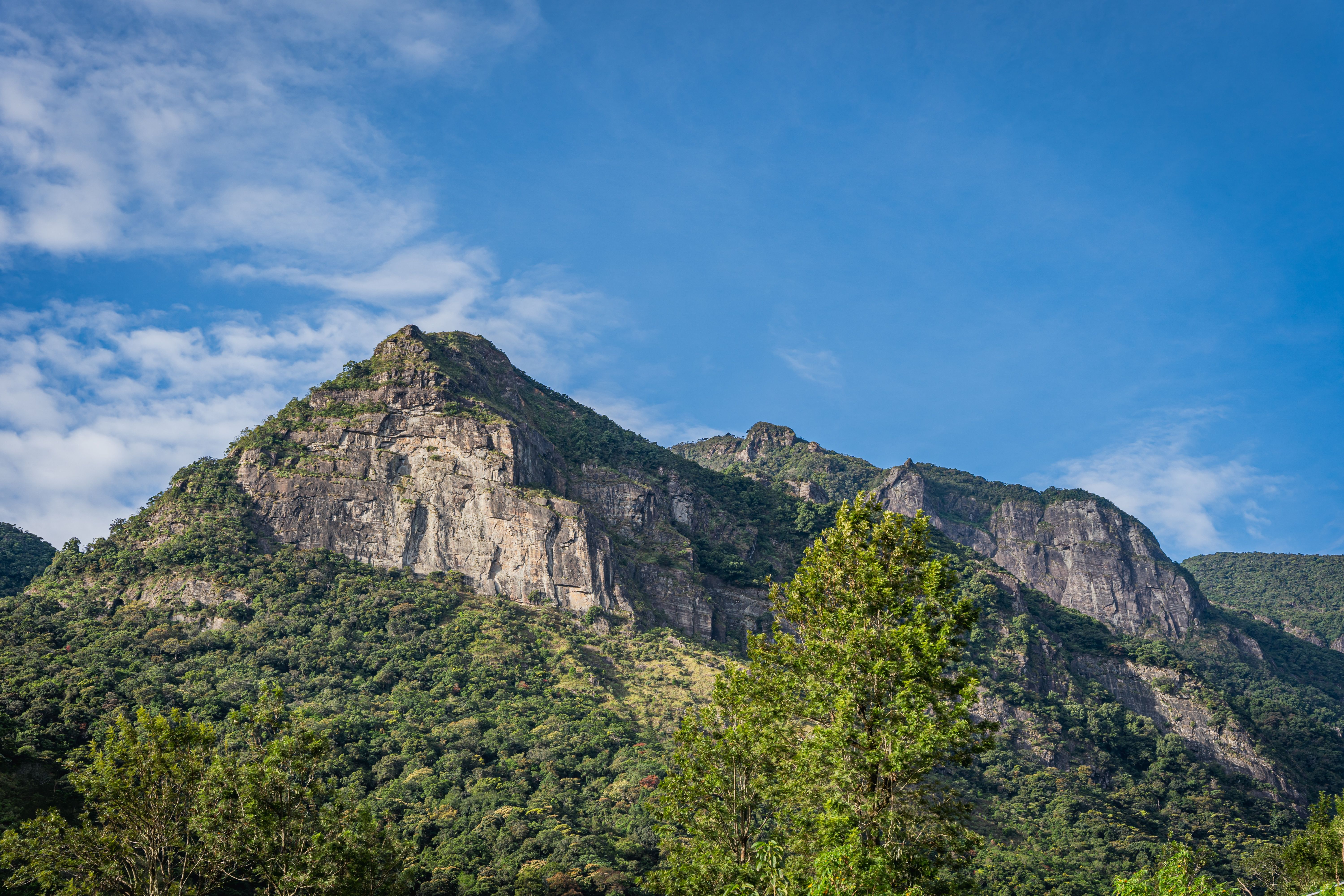 15 Day Ayurveda Healing Retreat in Sri Lanka 1