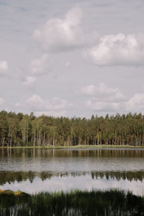 Free Serene reflection of pine forest on calm lake under cloudy sky, capturing a peaceful natural scene. Stock Photo