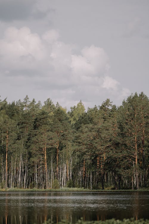 Ilmainen kuvapankkikuva tunnisteilla aamu, aurinko, järvi