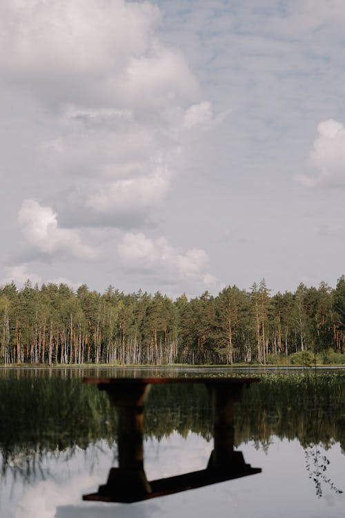 Ilmainen kuvapankkikuva tunnisteilla aamu, allas, heijastus