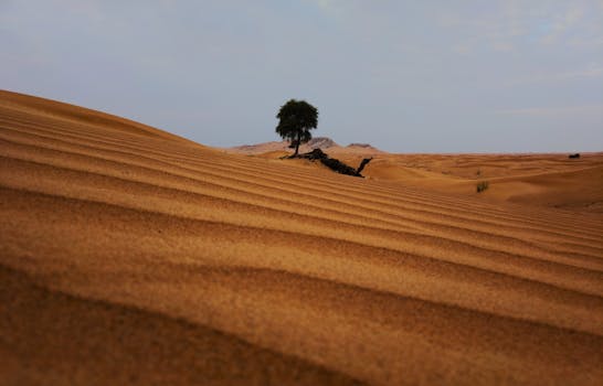 Photo by Adeel Rana