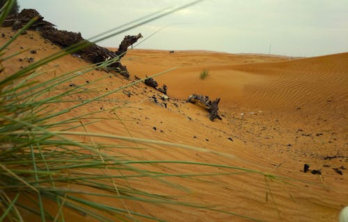 Безкоштовне стокове фото на тему «Дубай, коричнева пустеля, лахбаб»