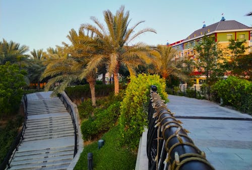 UAE, 공원, 공원과 리조트의 무료 스톡 사진